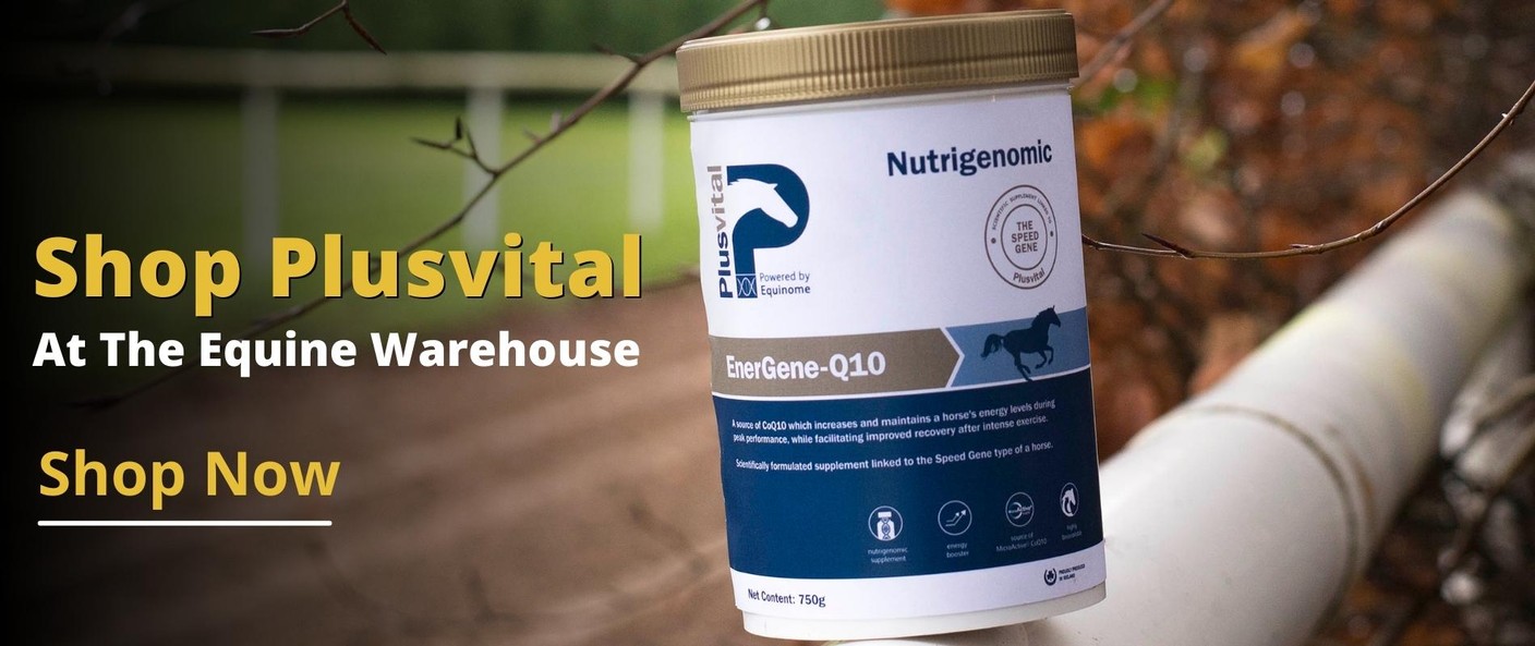 The Equine Warehouse