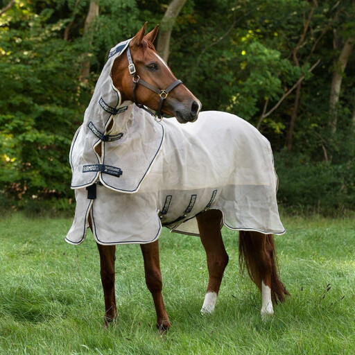 Fly Rugs