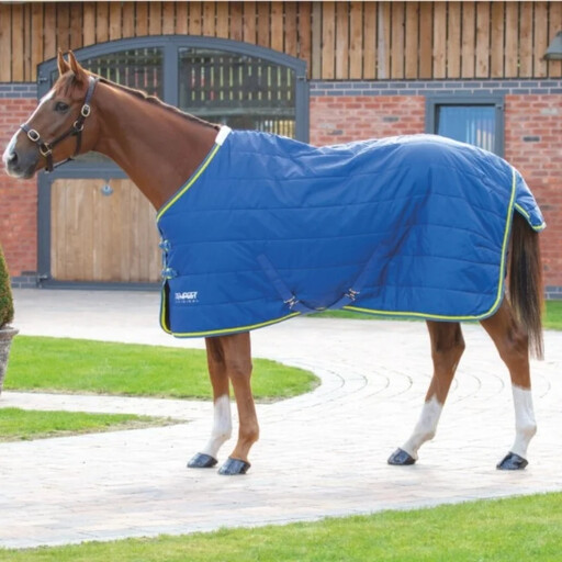 Light Stable Rugs