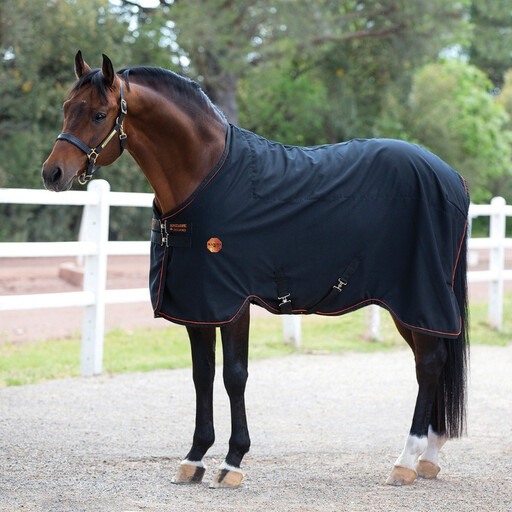 Rambo Iconic Therapy Rug