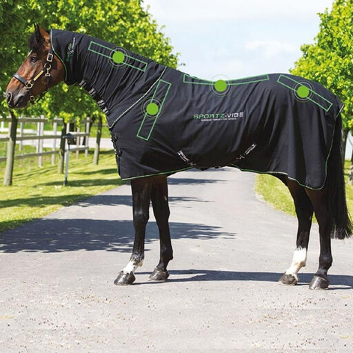 Sportz Vibe Therapy Rug