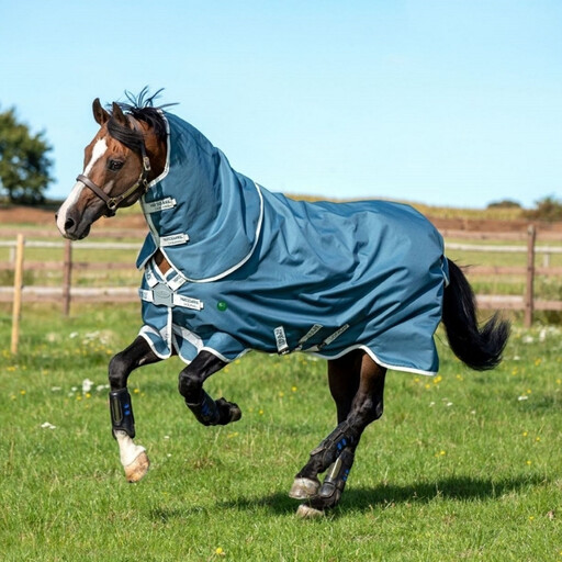 Turnout Rugs