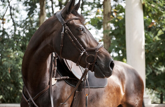 Bridlework