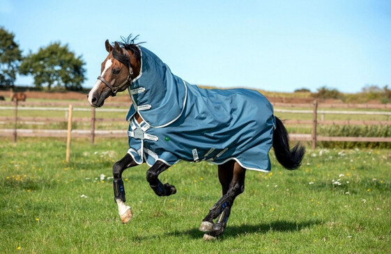 Horse Rugs