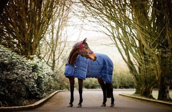 Horseware