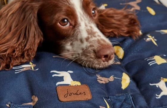 Joules