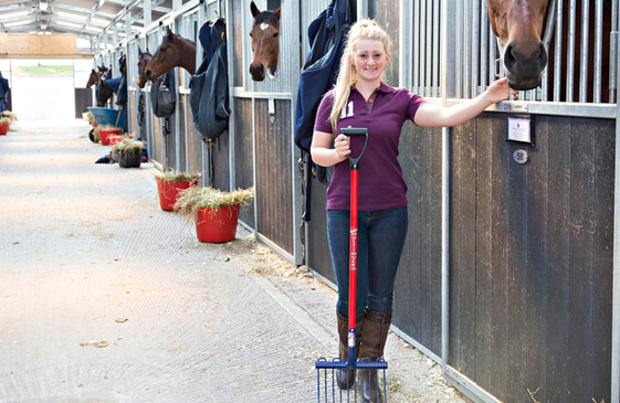 Stable & Yard