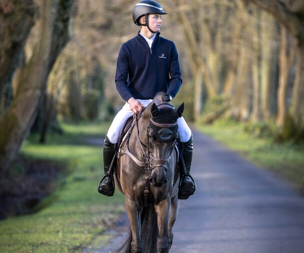 The Equine Warehouse