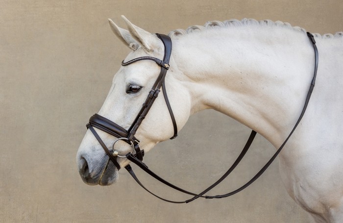 Bridlework