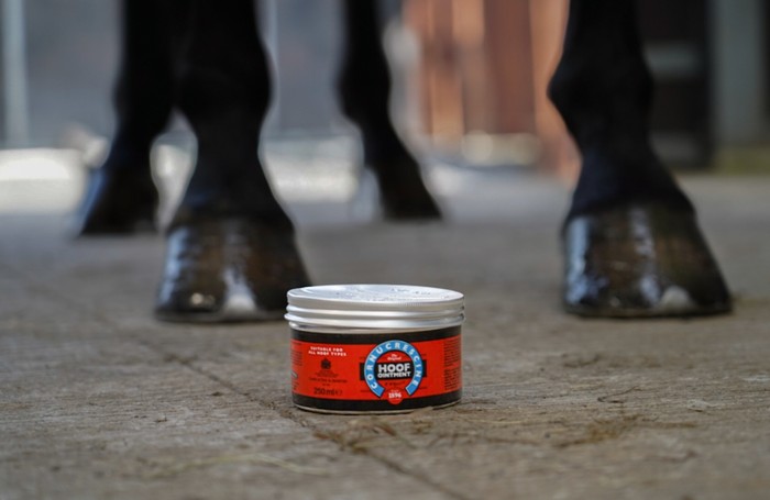 Leg & Hoof Care