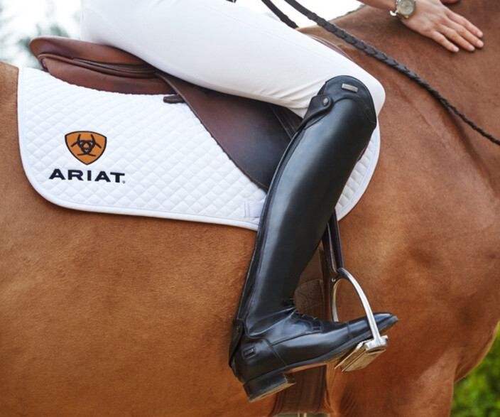 The Equine Warehouse