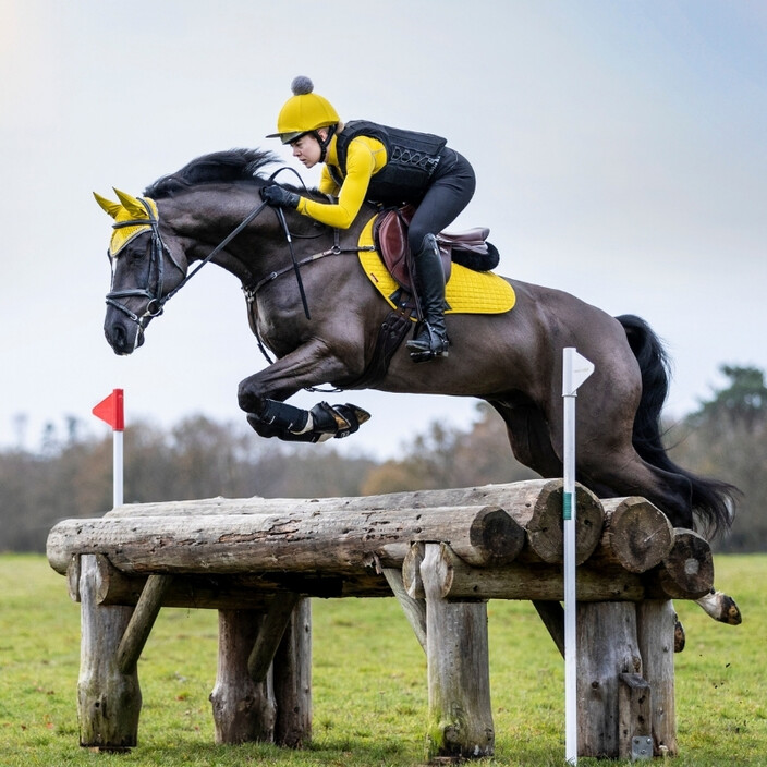 The Equine Warehouse Website