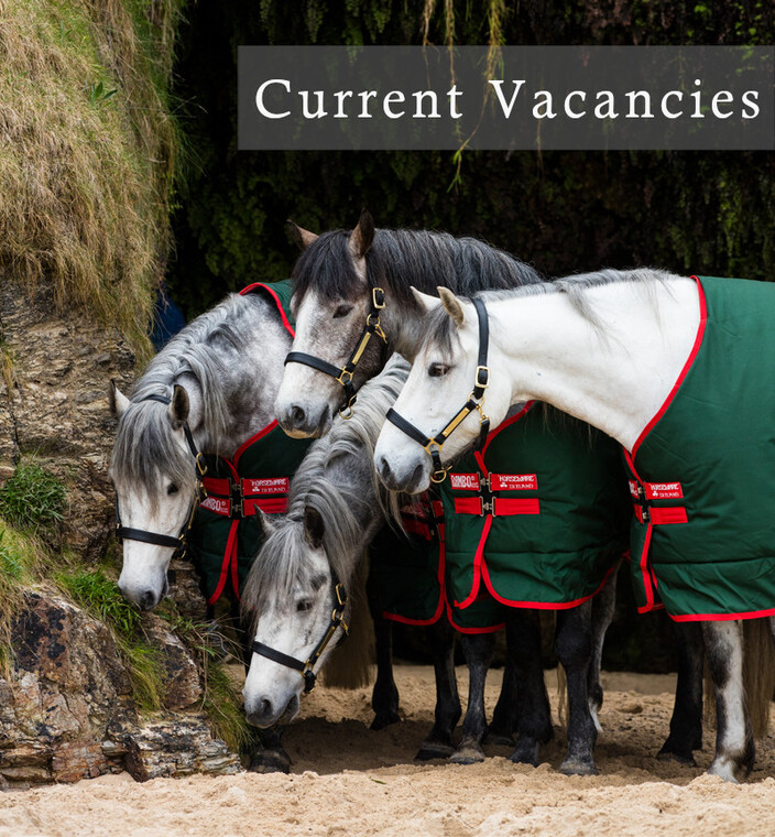 current vacancies at the Equine Warehouse 