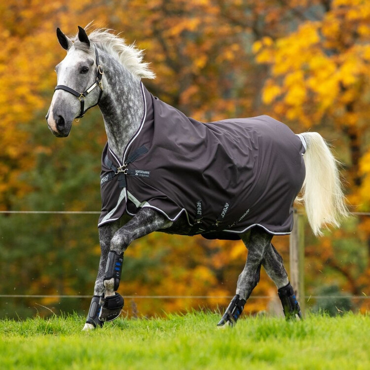 The Equine Warehouse