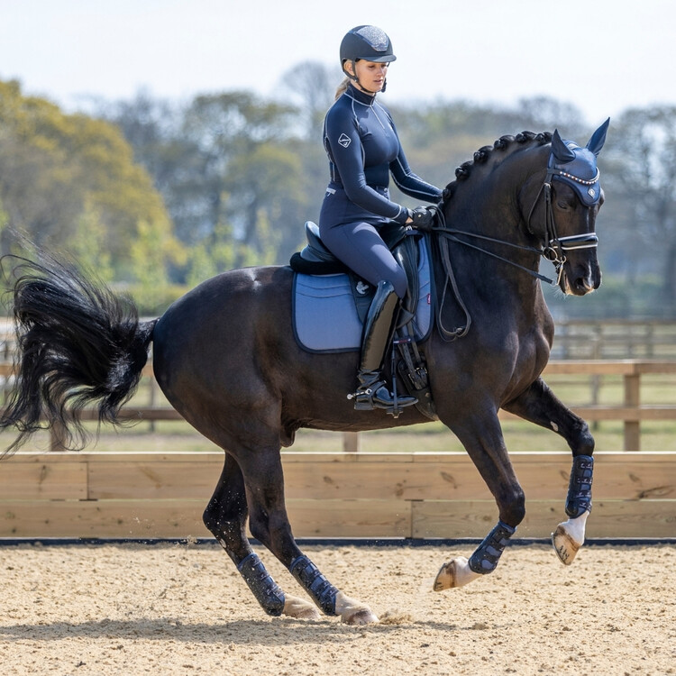 The Equine Warehouse