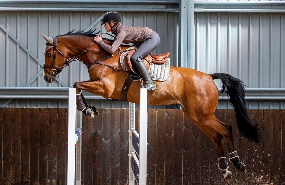 Brands AZ Equine Warehouse The Equine Warehouse