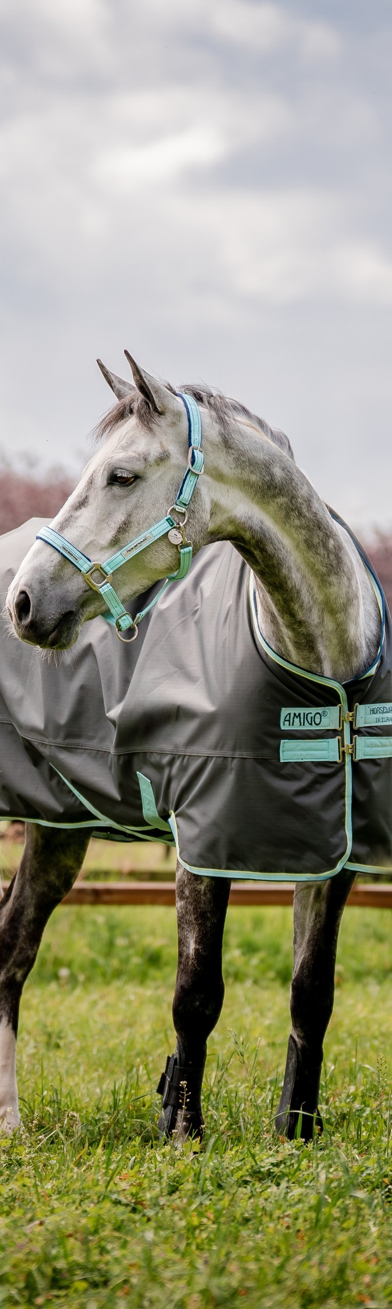 Equine Warehouse Quality English Horse Tack & Horse Supplies Dover