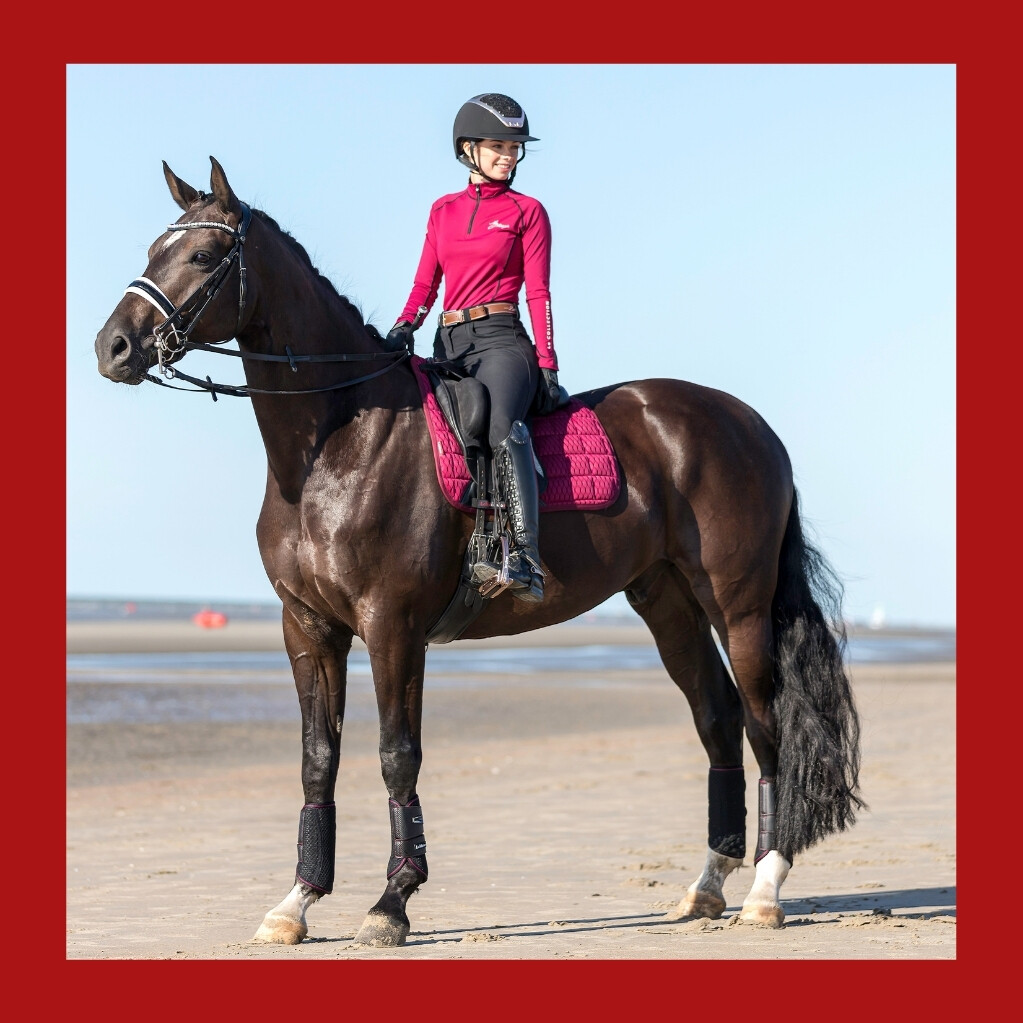 The Equine Warehouse