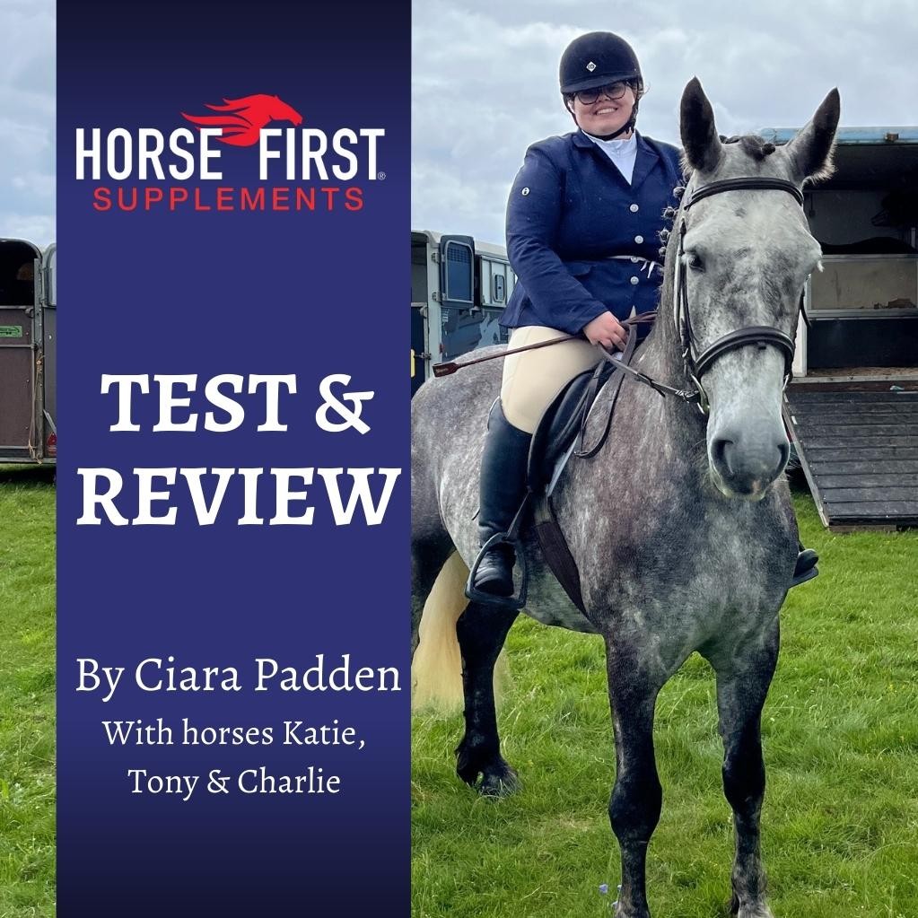 Horse First Test & Review