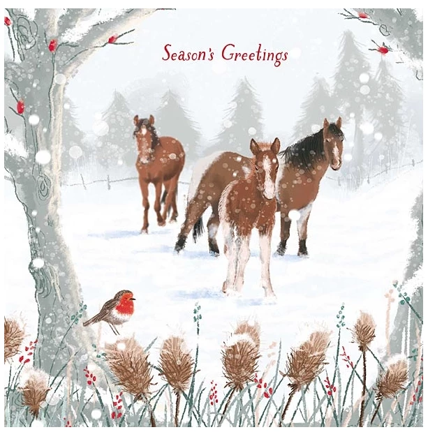 Jenkinsons Christmas Cards - Winter Friends in Unknown