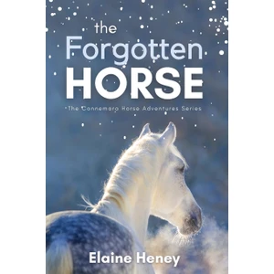 Elaine Heney Books The Forgotten Horse - Elaine Heney in Unknown