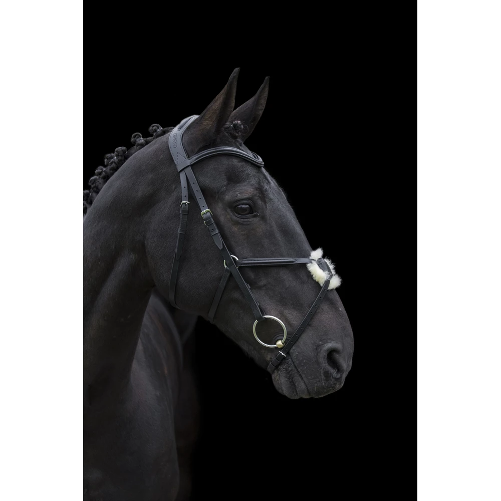 CAMEO Anatomic Grackle Bridle  - Black in Black