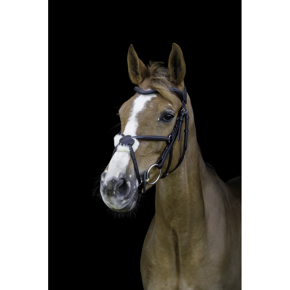 CAMEO Anatomic Grackle Bridle  - Black 