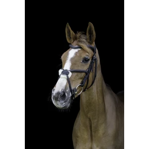 CAMEO Anatomic Grackle Bridle  - Black in Black