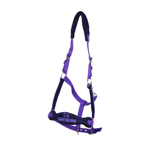 CAMEO Elite Headcollar & Rope - Purple/Navy in Purple/Navy