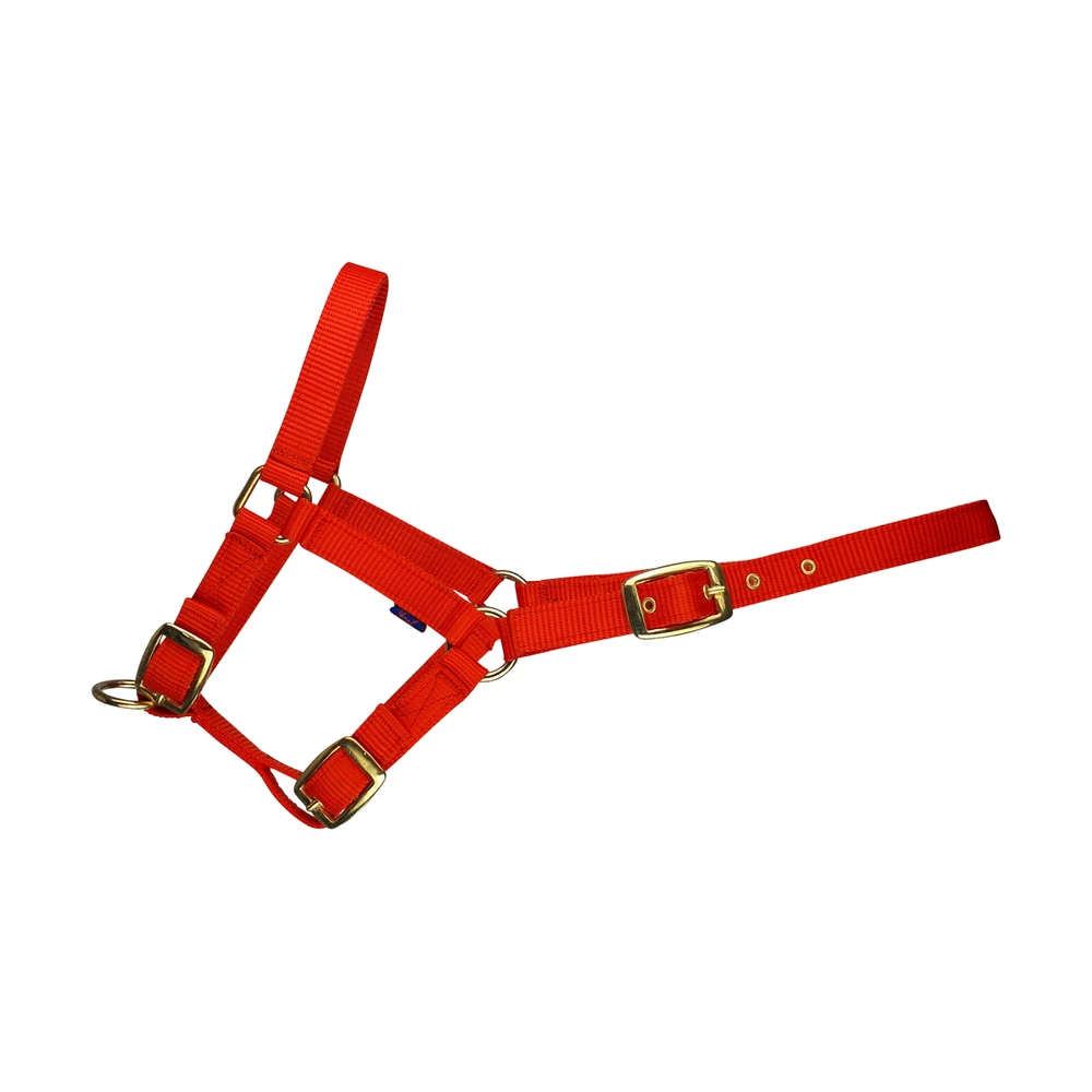 CAMEO Foal Headcollar  - Red in Red