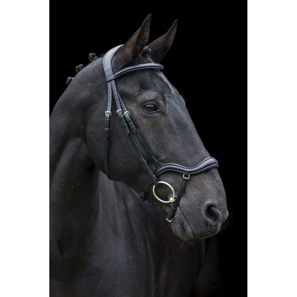 ECORider Ecosoft Finesse Bridle - Black