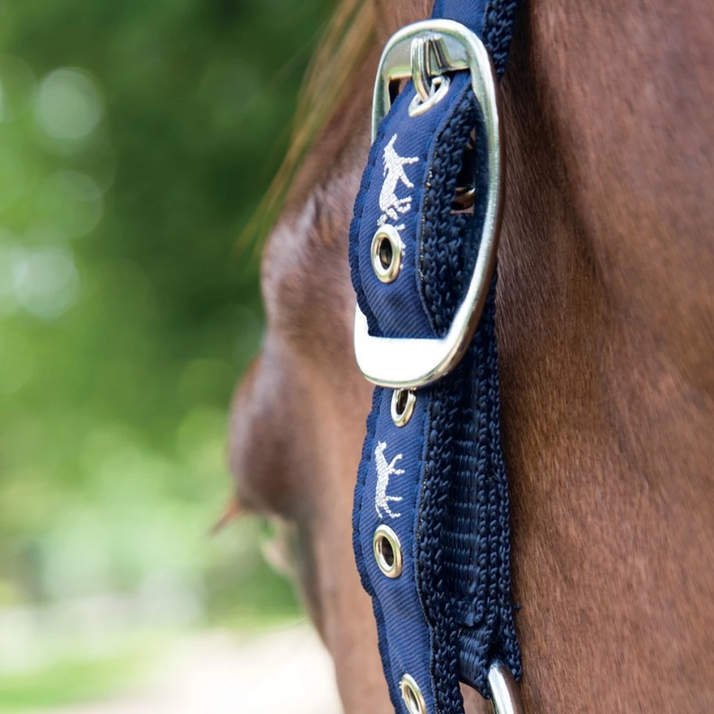 Shires Adjustable Nylon/Fleece  Headcollar in Blue