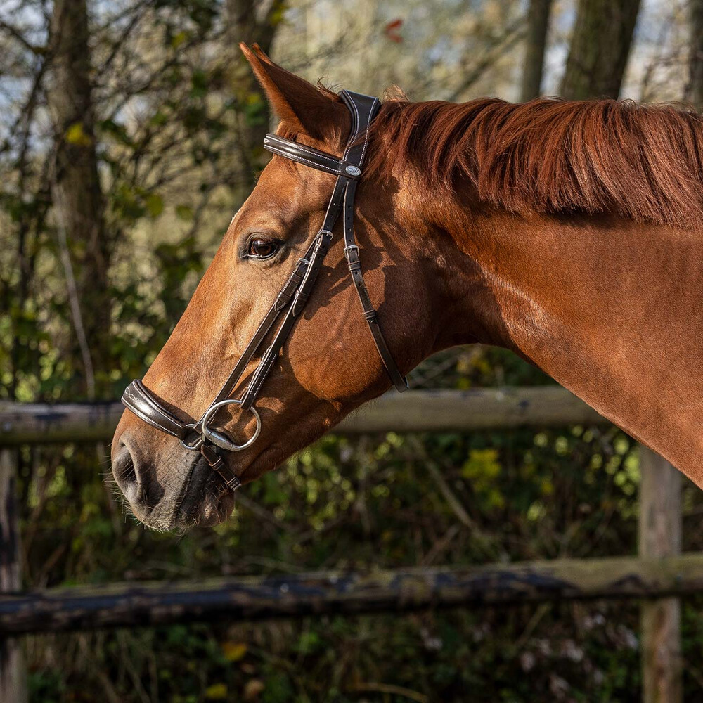 QHP Low bridle luxury - Dark Brown