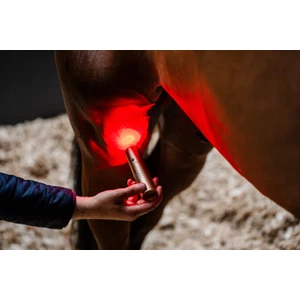 Horseware LED Red Light Therapy Wand in Black
