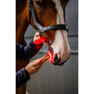 Horseware LED Red Light Therapy Wand in Black