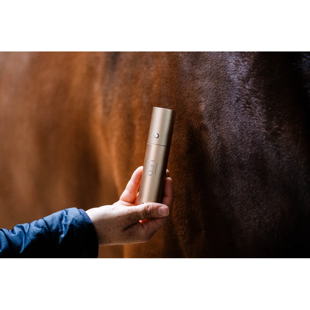 Horseware LED Red Light Therapy Wand in Black