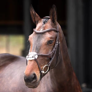Velociti Lusso Elite Grackle Bridle - Havana in Havana