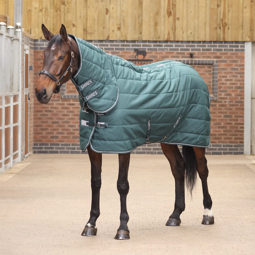 Tempest Original 200 Stable Rug & Neck Set - Emerald in Emerald