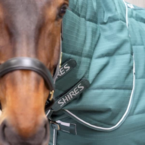 Tempest Original 200 Stable Rug & Neck Set - Emerald in Emerald