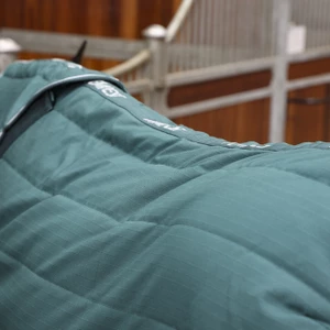 Tempest Original 200 Stable Rug & Neck Set - Emerald in Emerald