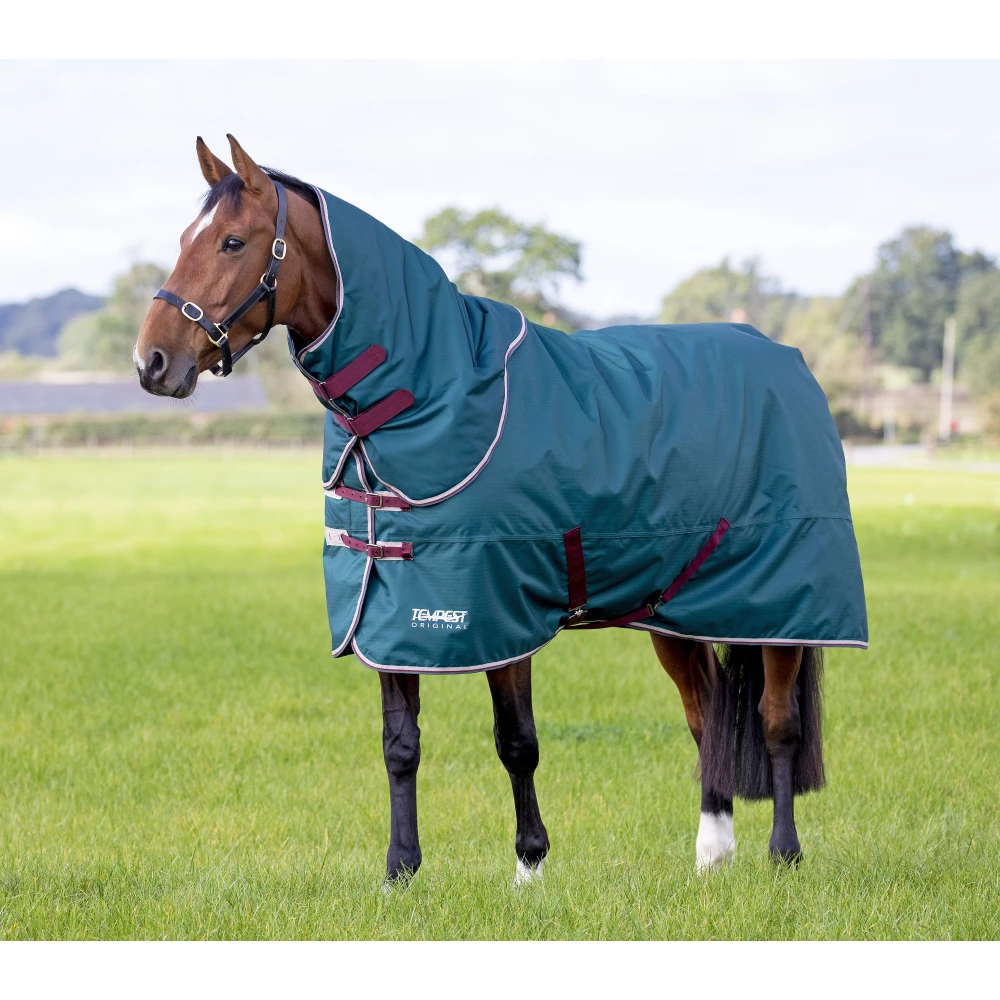Tempest Original 200 Turnout Rug & Neck Set - Green in Green