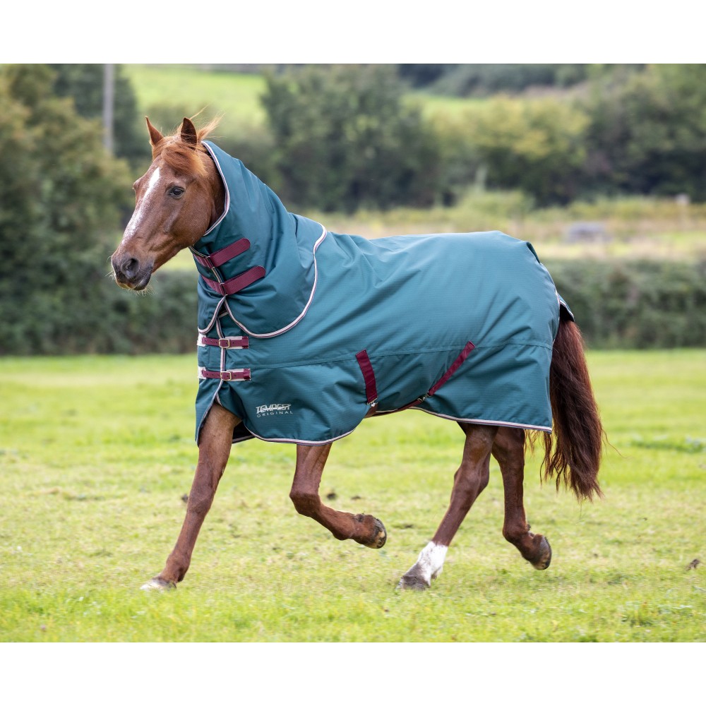 Tempest Original 200 Turnout Rug & Neck Set - Green