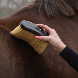 QHP Grooming set Royal Black 