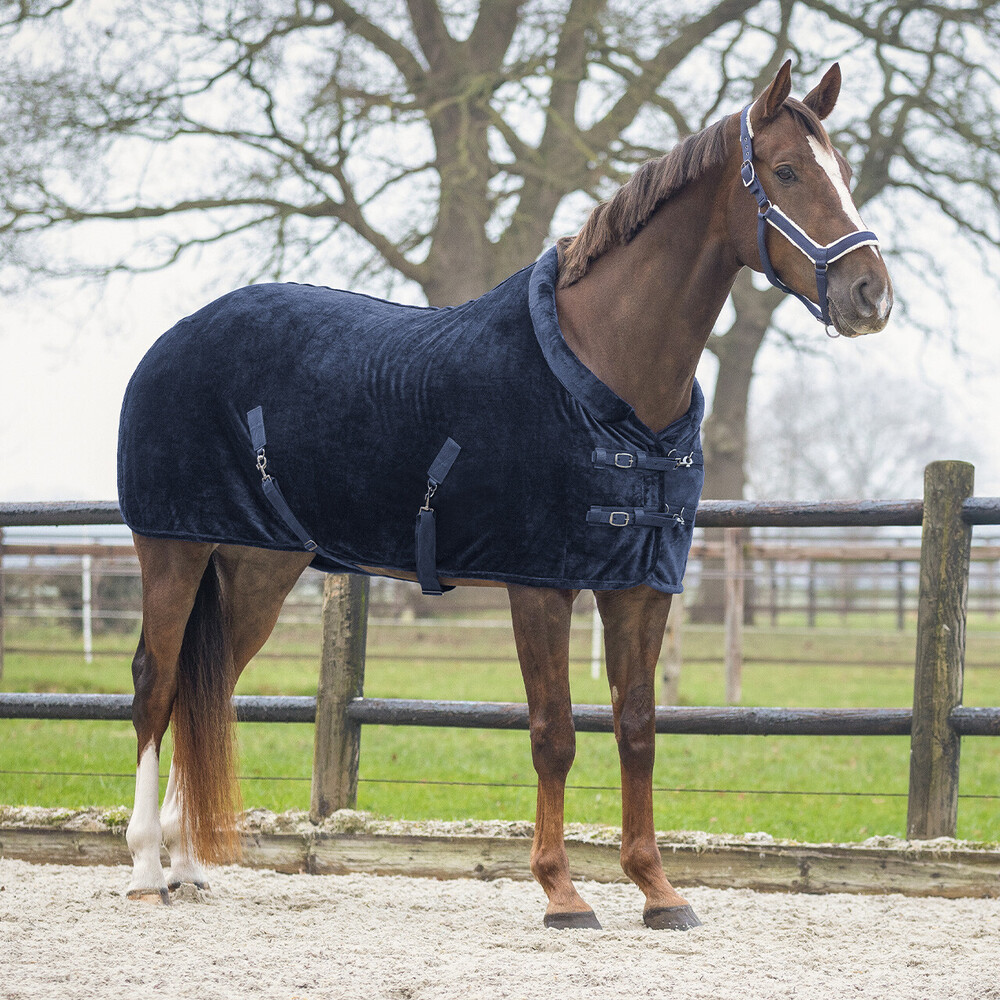 QHP Show rug Sensisoft Navy