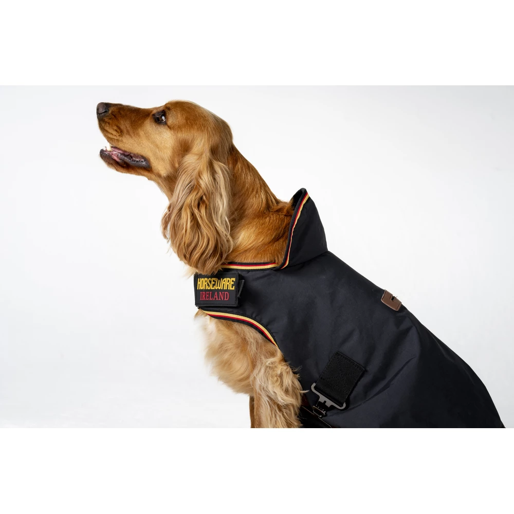 Horseware Newmarket Dog Coat  - Witney Gold in Witney Gold