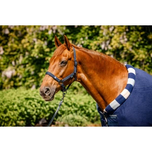 Horseware Newmarket Headcollar & Leadrope  - Witney Navy 