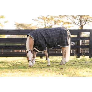 Horseware Amigo Amigo 1200D Pony Turnout 0g  - Black/Titanium Grey & Silver in Black/Titanium Grey & Silver