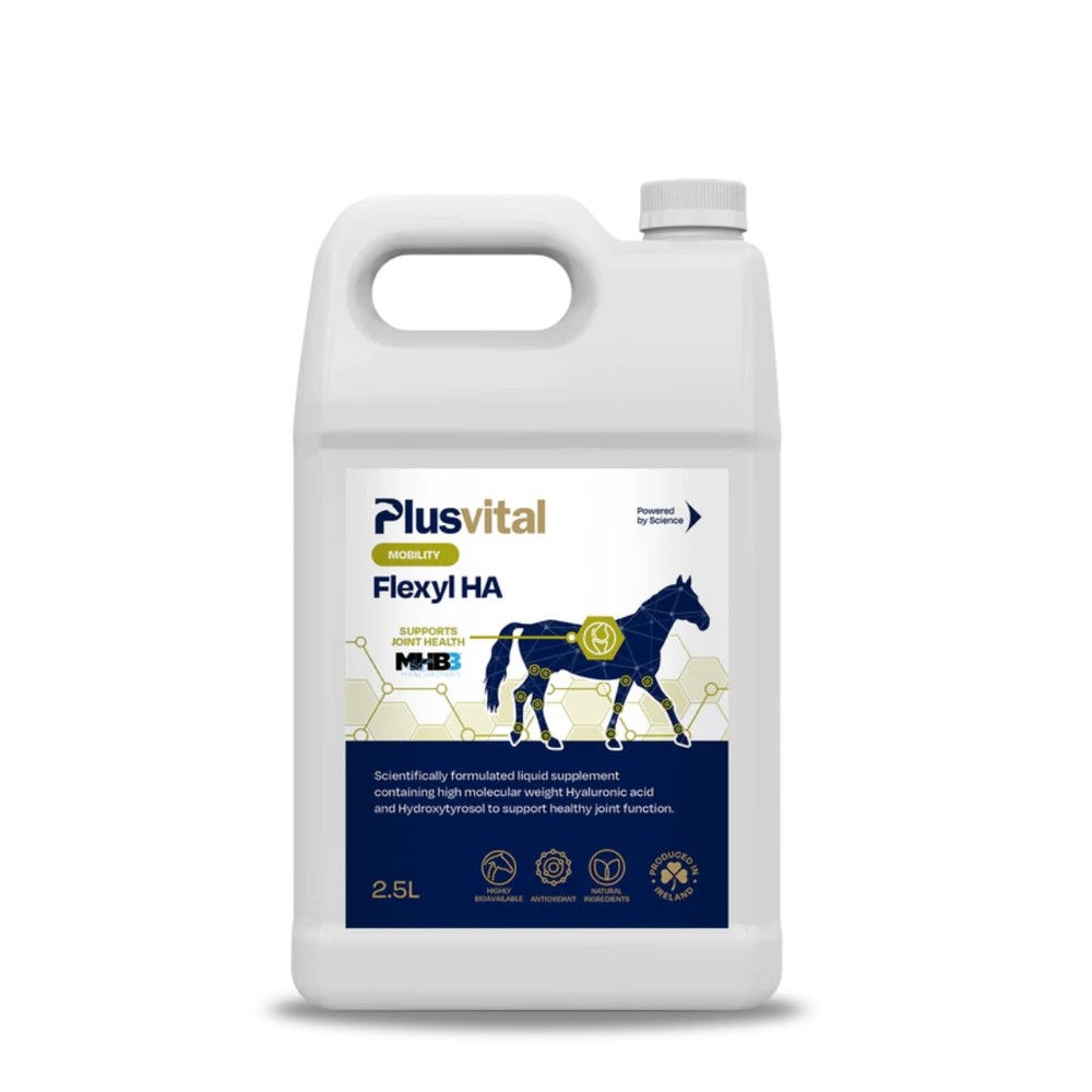 Plusvital PV Flexyl HA