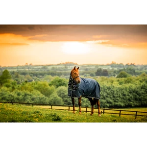 Horseware Amigo Amigo Ripstop 900D Plus Pony Turnout 200g  - Witney Navy in Witney Navy