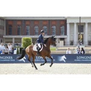 LeMieux Suede EuroJump Square  - White 